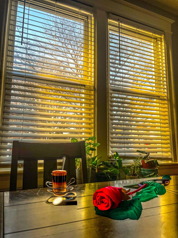 Augmented photography edited adding an ai generated rose and coffee. Morning Sunlight pouring through a dining room window.