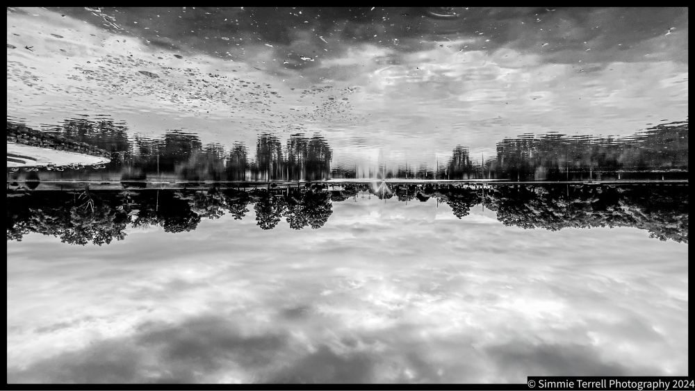 Inverted reflection
Black and white photograph of a Man made lake surrounded by trees. Partially cloudy day. Photographer Simmie Terrell 2024 Taoofphotography@gmail.com