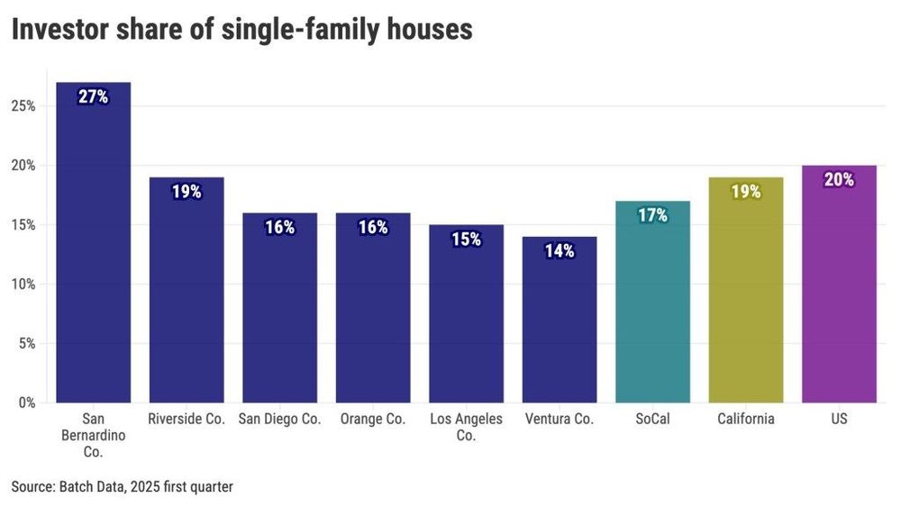 Investors bought 1,246 houses in the first quarter while selling 627.