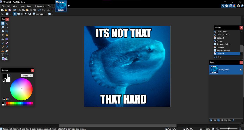 my paint.net window where i made this