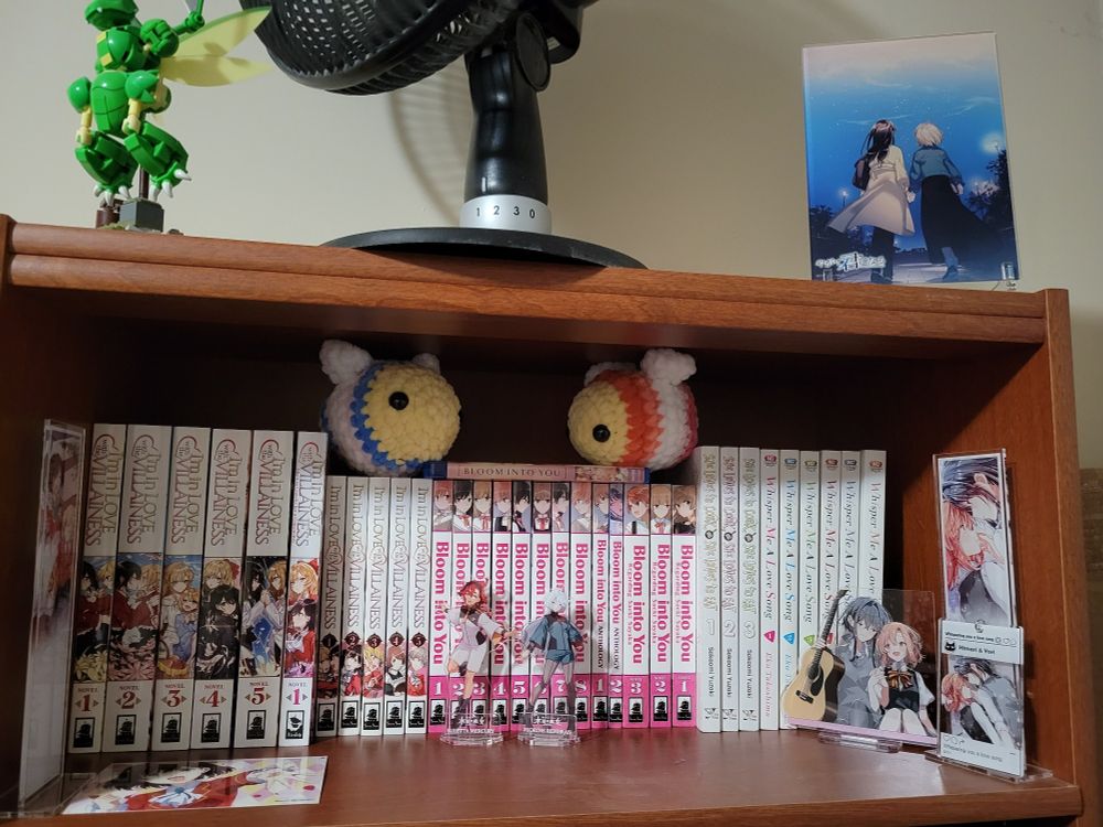 A shelf of yuri light novels & Manga, containing Im In Love With The Villainess (light novels & manga), bloom into you (manga & light novels & bluray), she loves to cook she loves to eat, and whisper me a love song. There are also lil cute standees of characters from these series, witch from mercury, and 2 hand made bees with trans flag coloes and lesbian flag colors.