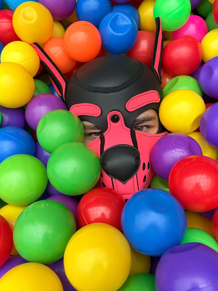 My pink pup is barely visible as its being covered by colorful balls.