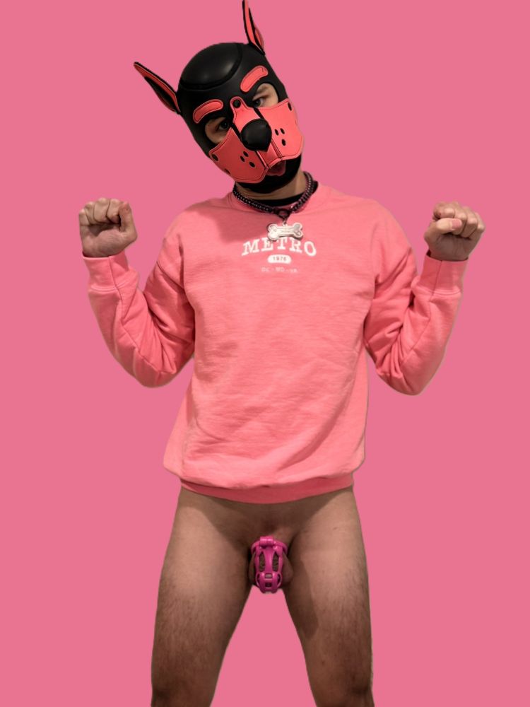 I'm wearing a pink pup hood, pink sweater that says "Metro" across it, and a pink chastity cage -- all in front of a pink background.