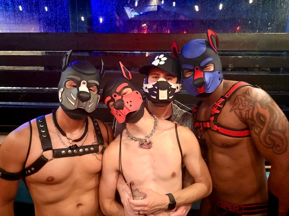 Four sexy human pups wearing pup hoods.