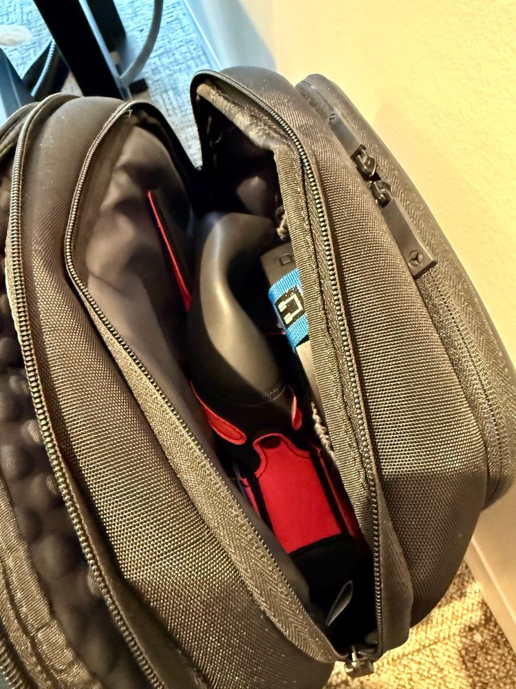 Open book bag with a pink pup hood peaking out. 