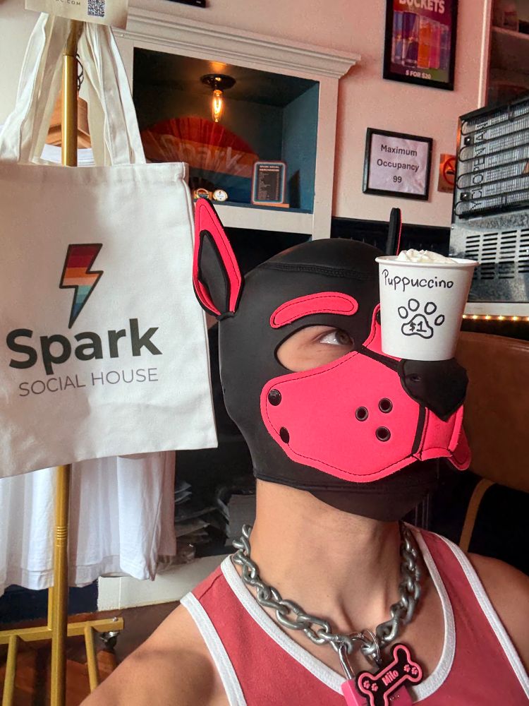 I have my pink pup hood on staring at a puppuccino cup that’s balanced on my snoot. 

Behind me is a bag with the Spark logo on it. 