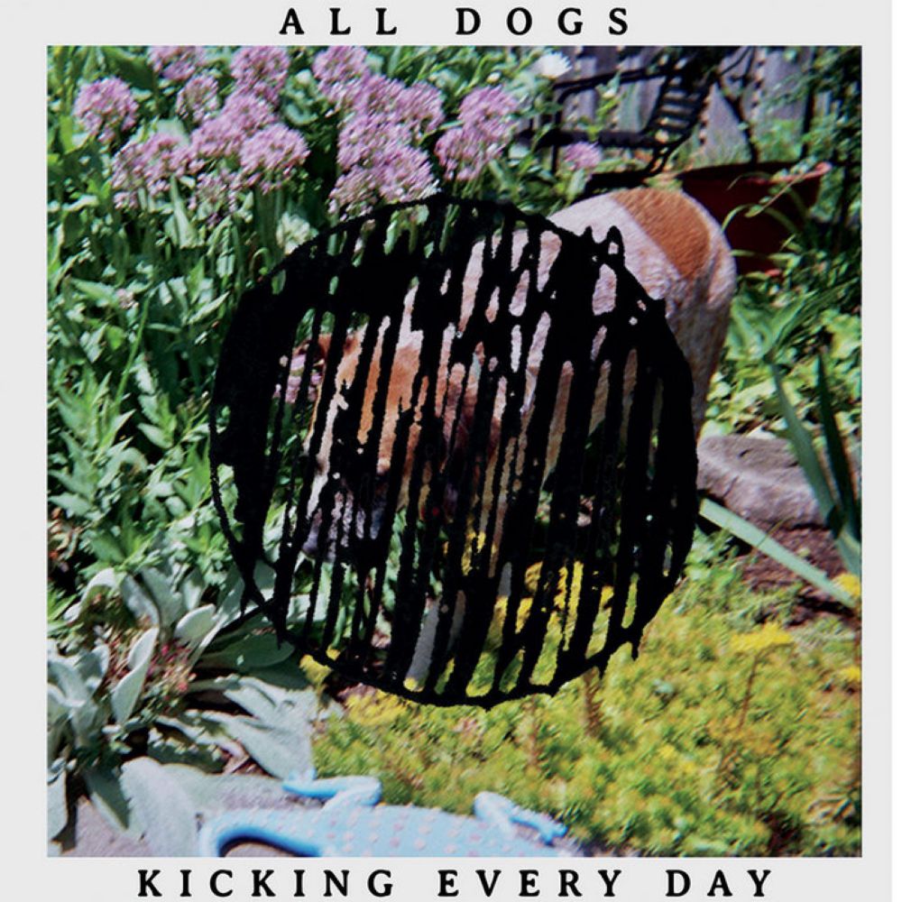 Black Hole, by all dogs