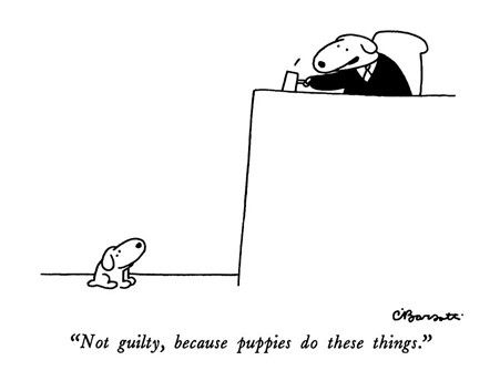 Canine judge delivers verdict to young dog who has misbehaved