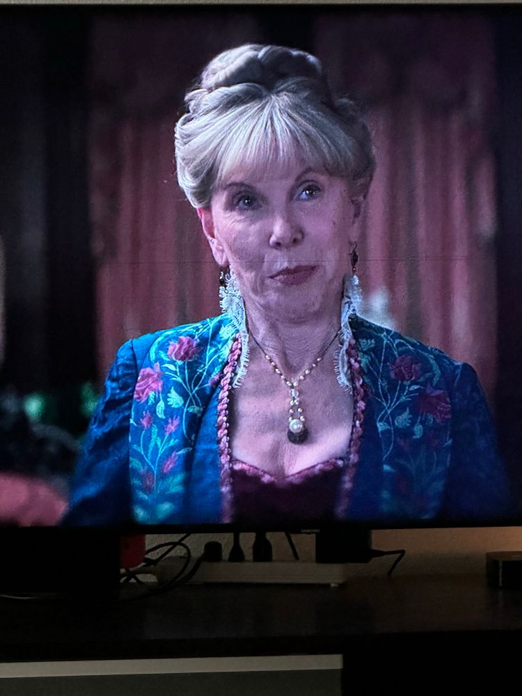 Christine Baranski in The Gilded Age wearing a gorgeous teal dress with a wine inset bodice (I think that’s what that’s called. Stitchers correct me if not) and floral embroidery up to the shoulders 
