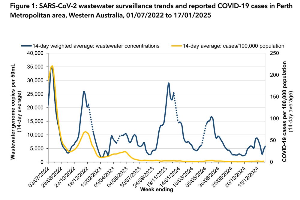 Line graph of SARS-CoV-2 wastewater surveillance trends in Perth Metropolitan area, Western Australia, 01/07/2022 to 17/01/2025