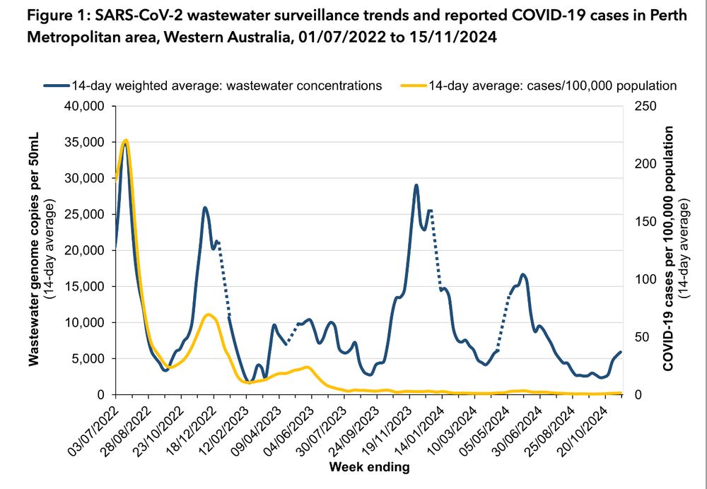 Line graph of SARS-CoV-2 wastewater surveillance trends in Perth Metropolitan area, Western Australia, 01/07/2022 to 15/11/2024