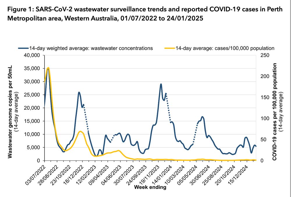 Line graph of SARS-CoV-2 wastewater surveillance trends in Perth Metropolitan area, Western Australia, 01/07/2022 to 24/01/2025