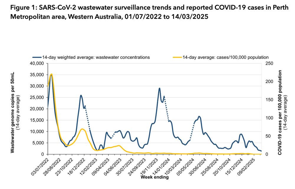 Line graph of SARS-CoV-2 wastewater surveillance trends in Perth Metropolitan area, Western Australia, 01/07/2022 to 14/03/2025