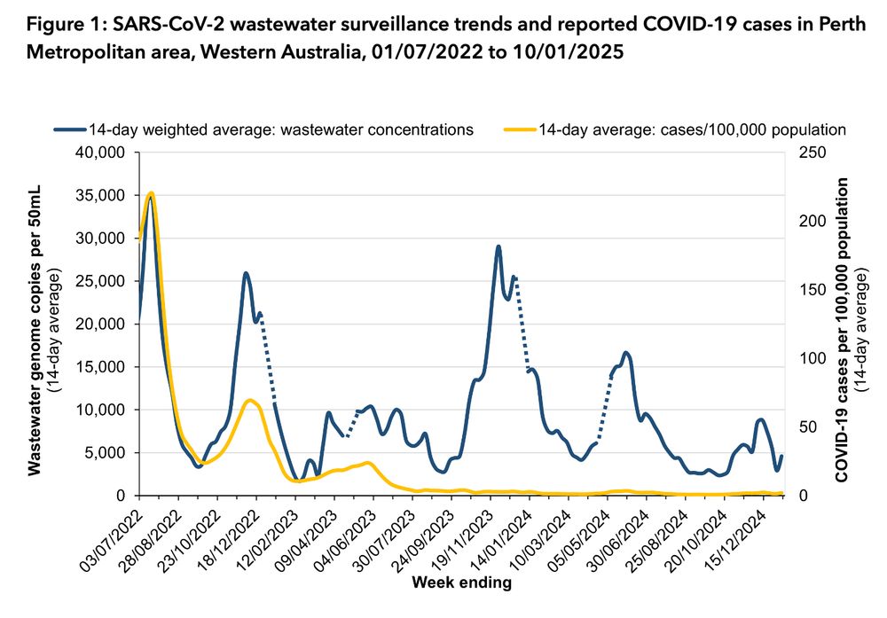Line graph of SARS-CoV-2 wastewater surveillance trends in Perth Metropolitan area, Western Australia, 01/07/2022 to 10/01/2025