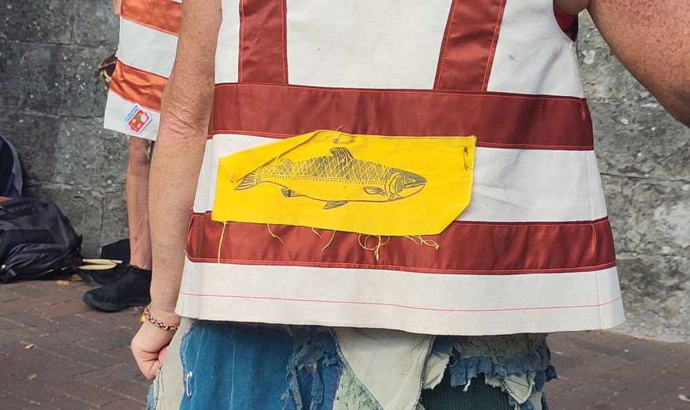 Close-up of a screenprint of a Salmon on a Morris Dancer's back