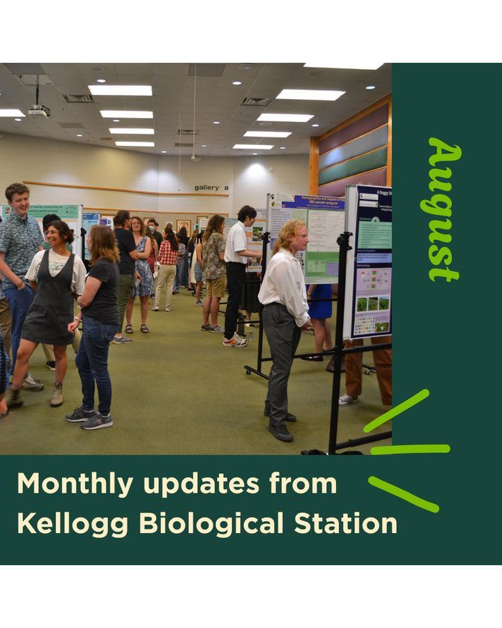 Graphic featuring image of people looking at posters during the 2025 KBS Summer Undergraduate Research Symposium, with the text Monthly updates from Kellogg Biological Station - August.