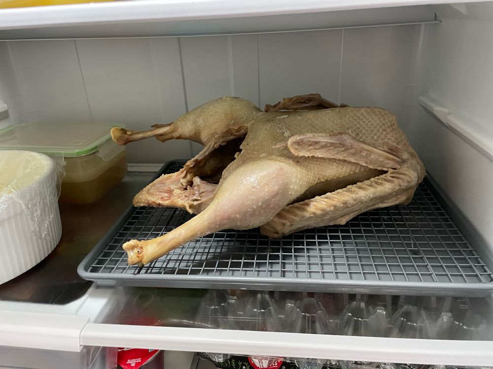 Goose resting in fridge awaiting its fate