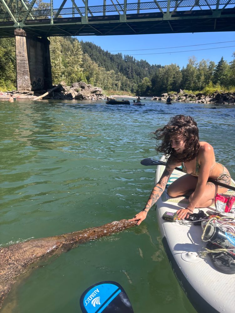 A picture of me on a paddleboard fondling a floating stick in the river