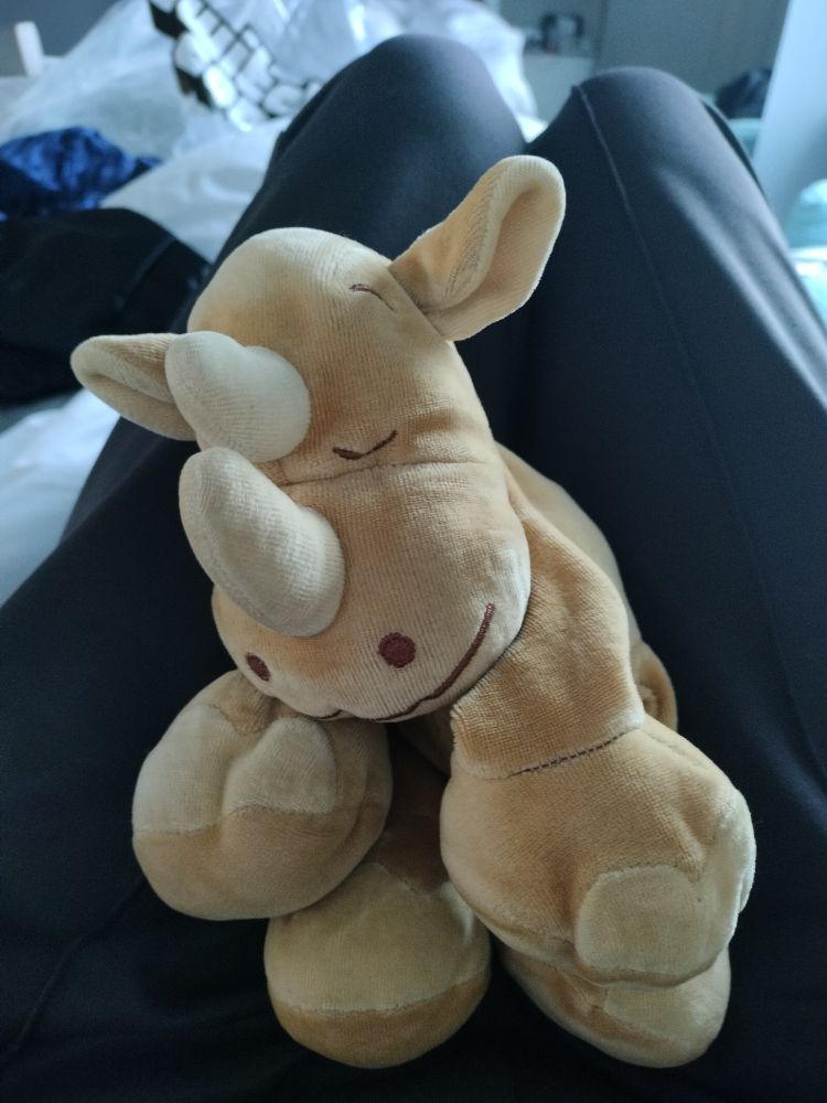 A photo of shy's plushie Stekkie. The plushie is a beige rhino and due to his age it looks like he has very little stuffing left