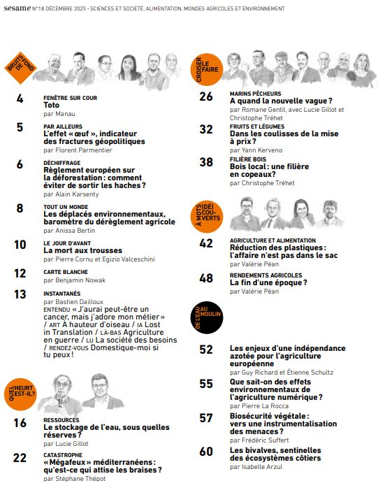Sommaire du 18e numéro de la revue Sesame