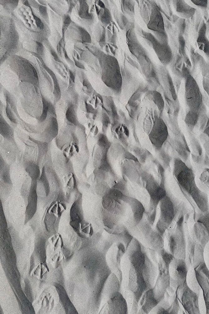 Picture of seagull footprints through fine golden sand