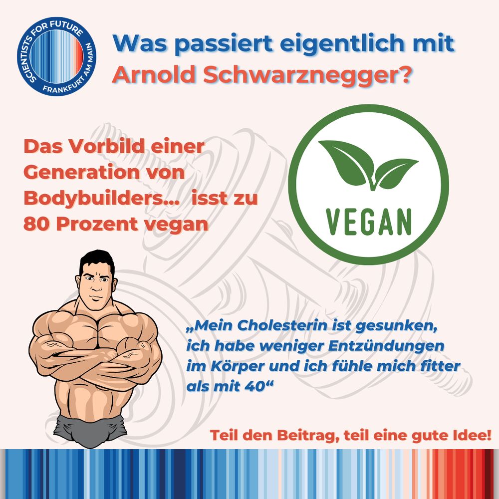 Das Vorbild einer Generation von Bodybuilders...  isst zu 80 Prozent vegan- Arnold Schwarzenegger. „Mein Cholesterin ist gesunken, ich habe weniger Entzündungen im Körper und ich fühle mich fitter als mit 40“