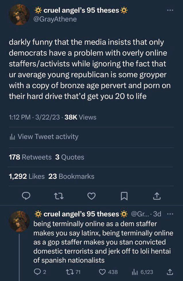 Post from @GrayAthena that reads: "darkly funny that the media insists that only democrats have a problem with overly online staffers/activists while ignoring that ur average young republican is some groyper with a copy of bronze age pervert and porn on their hard drive that'd get you 20 to life"

This post is followed by a reply from @GrayAthena that reads: "being terminally online as a dem staffer makes you say latinx, being terminally online as a gop staffer makes you stan convicted national terrorists and jerk off to loli hentai of spanish nationalists"