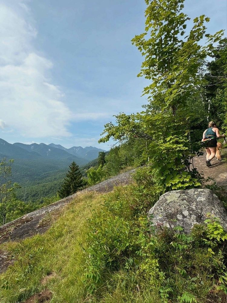 A person walks along a hiking trail beside a leafy tree and rocky grass, surrounded by a mountainous landscape under a clear sky.