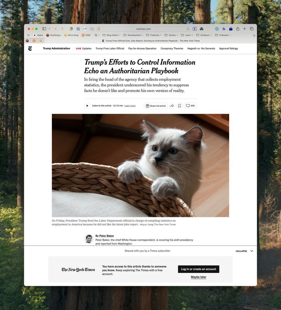 A webpage screenshot from the New York Times showing an article titled &ldquo;Trump&rsquo;s Efforts to Control Information Echo an Authoritarian Playbook.&rdquo; Below the title, a summary explains the firing of a Labor Department official. The article is written by Peter Baker. The page also features an image of a light-colored kitten with blue eyes, resting its paws on the edge of a woven basket. The browser window shows various tabs, menus, and a background image of tall trees.
