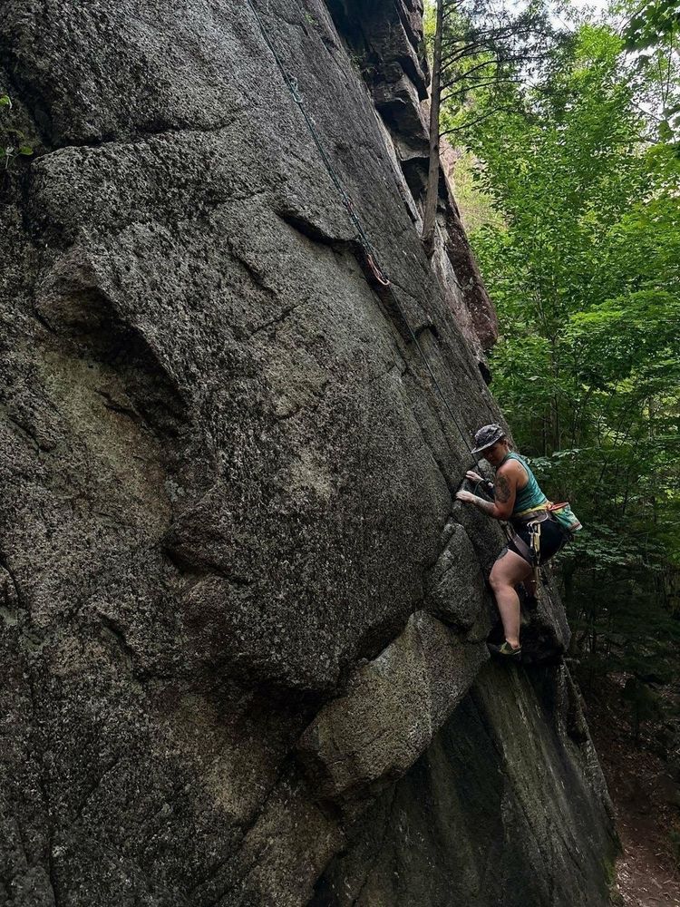 A climber wearing a helmet and harness ascends a steep rock face using ropes surrounded by a forest of green trees.