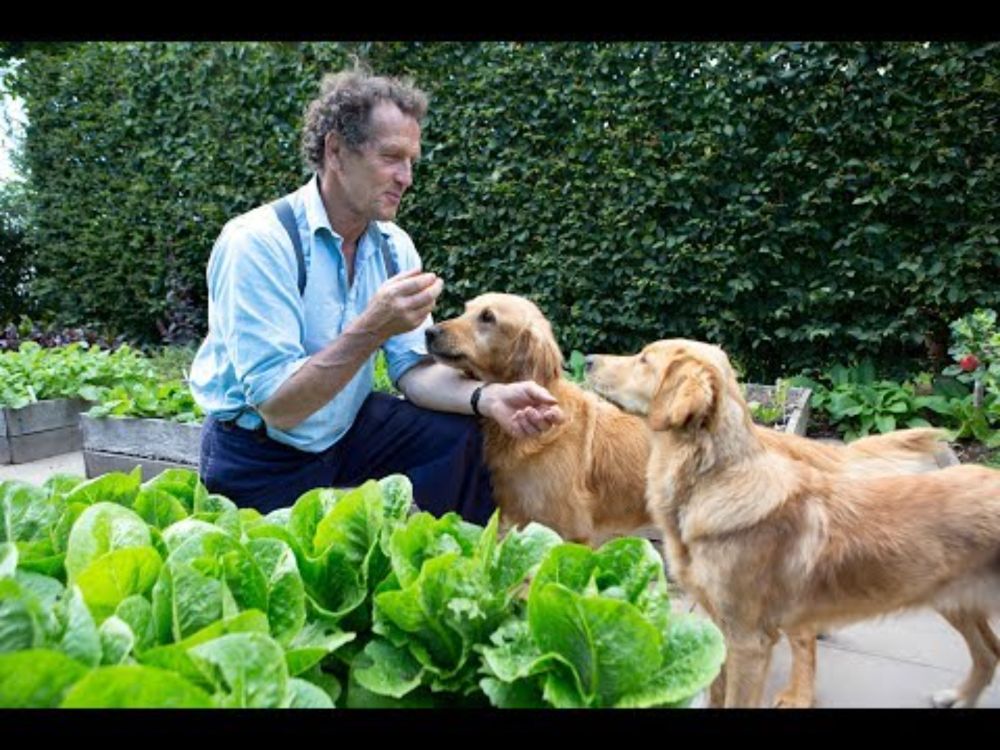 Monty Don on Nigel, Nell and other four-legged friends