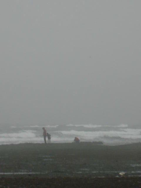 A foggy beach with waves and low visibility 