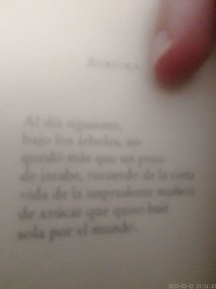El mismo poema pero en una imagen borrosa, como fundida o difuminada.