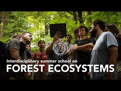 Interdisciplinary Summer School on forest ecosystems 2023 - Supported by COST