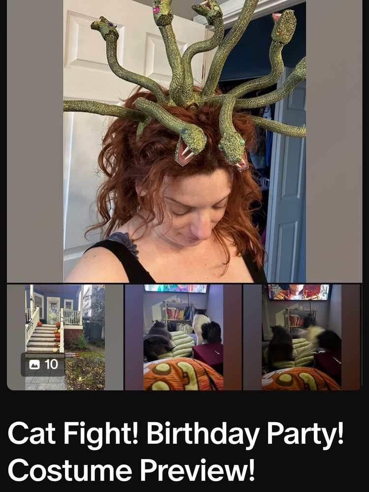 A preview of a Patreon post entitled CAT FIGHT! BIRTHDAY PARTY! COSTUME PREVIEW! with assorted photos.