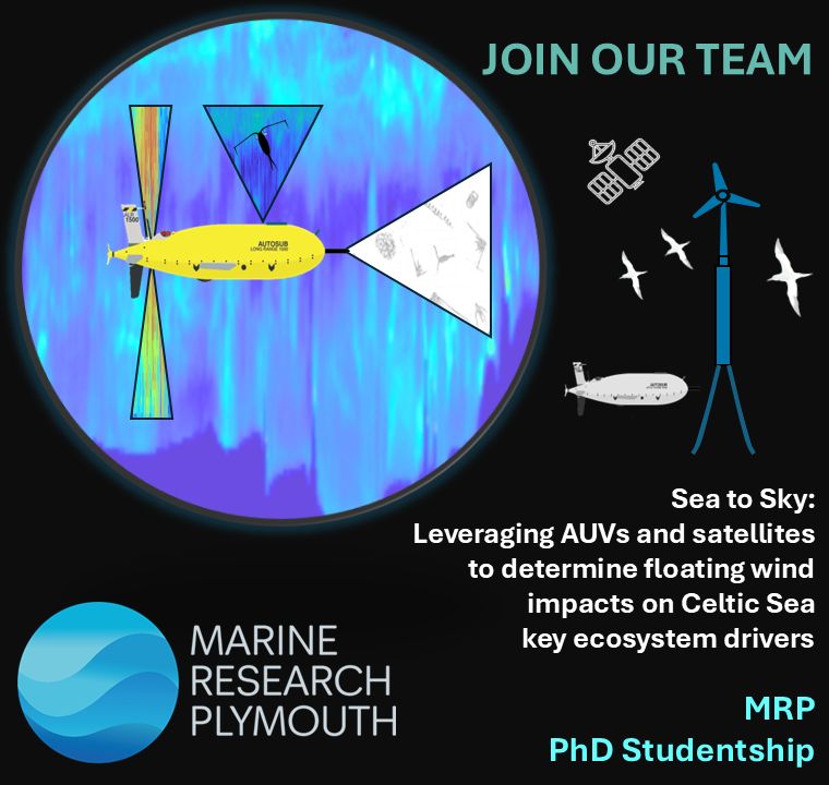 Graphic for Marine Research Plymouth PhD studentship, including an AUV with sensors (such as acoustic scattering), a satellite, an offshore floating windfarm and seabirds. 