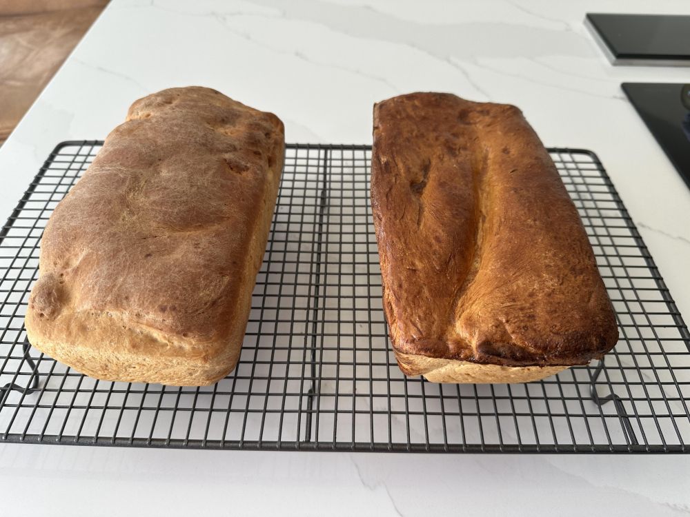 Two shit loaves of bread