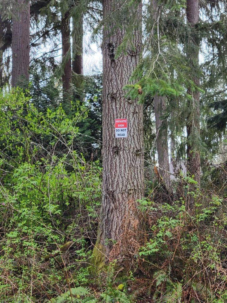 A tree in a lush forest setting.  Grey-black bark of a young douglas fir (~25" in diameter) with a red and white sign posted.  The top half of the  sign reads in white letters on a red field: "Private Sign."  The bottom half of the sign reads in black letters on a white field: "Do Not Read."