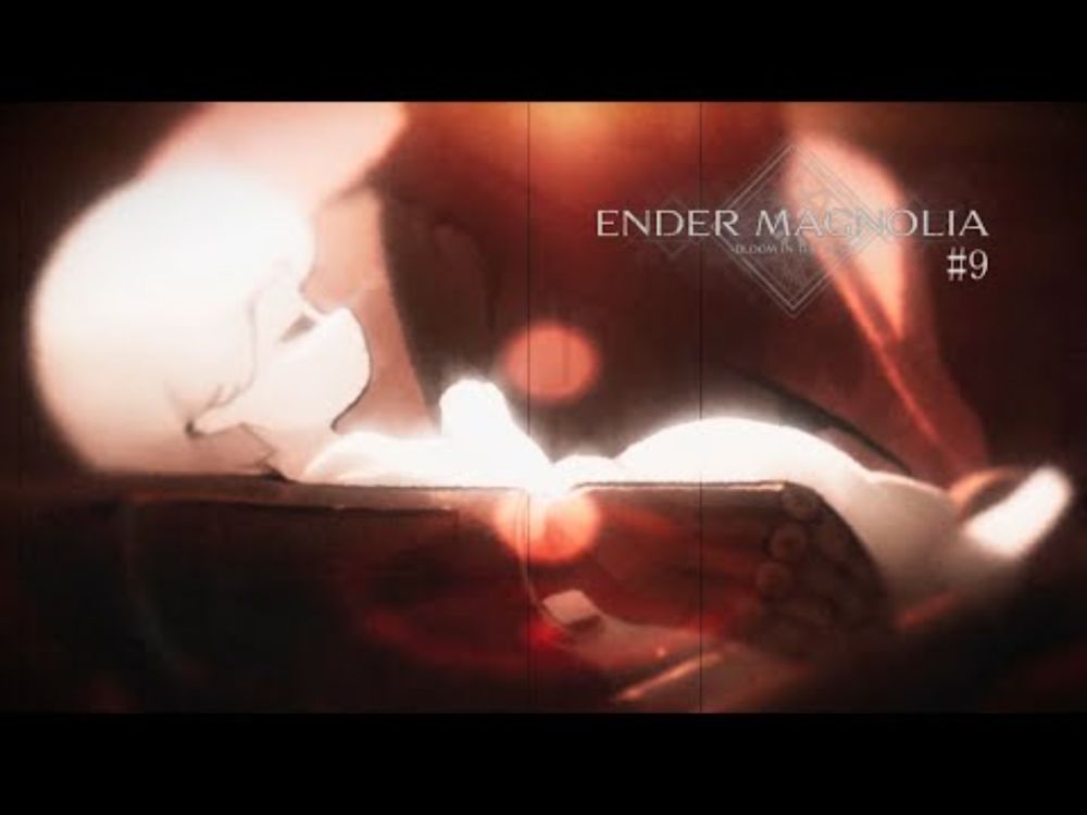 深い深い穴の奥にいた【ENDER MAGNORIA】#9