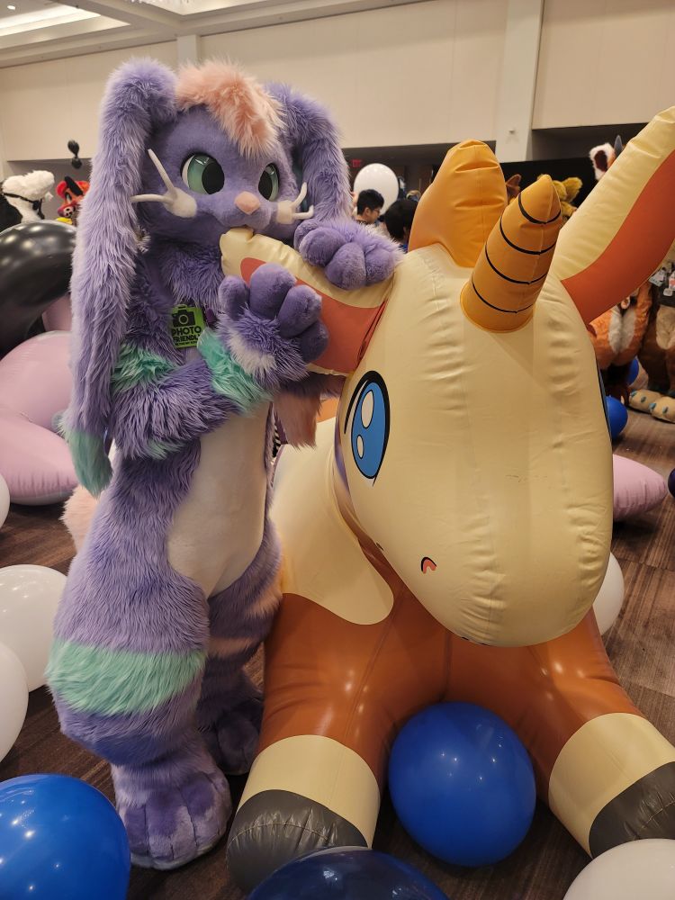 Purple bunny fursuiter putting their mouth on a giant deer pool toy's ear to imitate eating it.