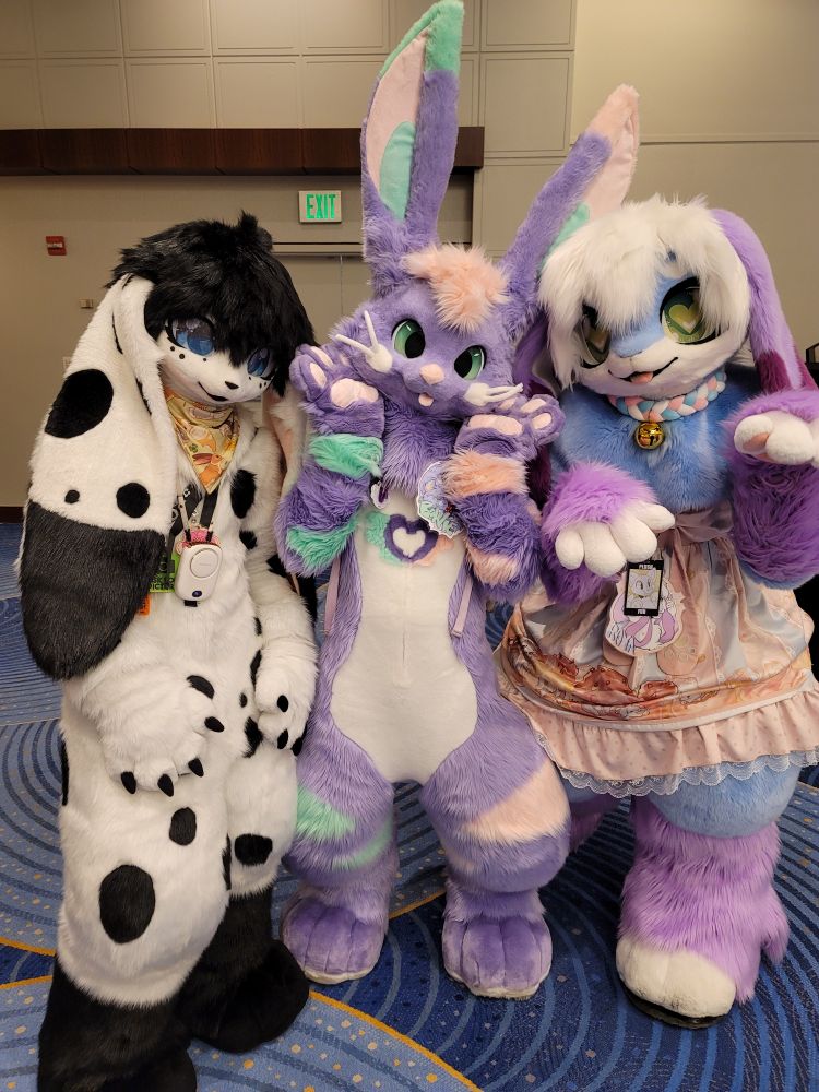 3 bunny fursuiters together in one shot making poses. On the left is a black and white spotted bunny leaning into the middle. In the middle is a purple bunny with tall ears and heart motif holding their hands up to their face cutely. On the right is another purple bunny in a dress flapping their arms in front of them.