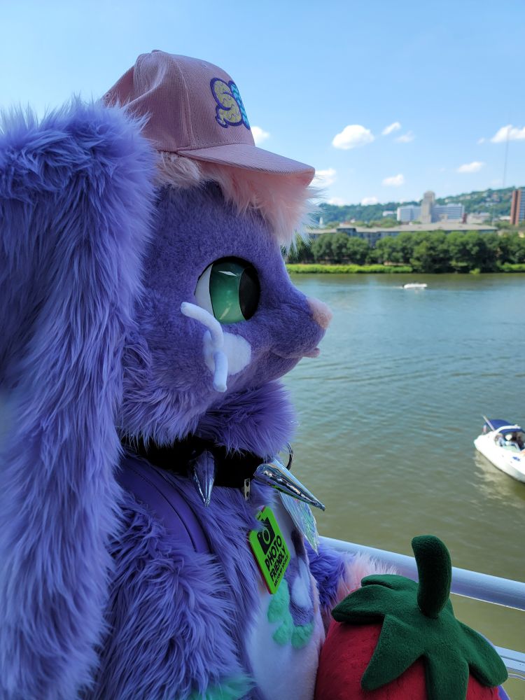 Close up shot of a purple bunny fursuiter with their tongue sticking out overlooking a balcony view of the riverfront in Pittsburgh, PA.