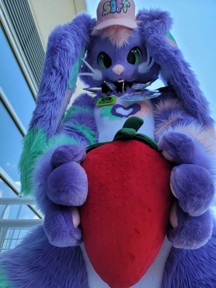From-below shot of purple bunny fursuiter while they hold a large plush strawberry in front of them down by their waist.
