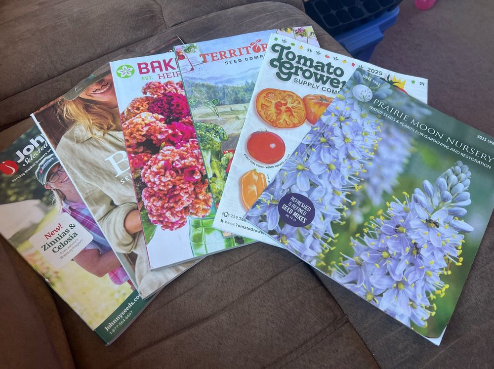 Seed catalogs from left-to-right: Johnny’s Selected Seeds, Burpee, Baker Creek Heirloom Seeds, Territorial Seed Co., Tomato Growers Supply Co., Prairie Moon Nursery 