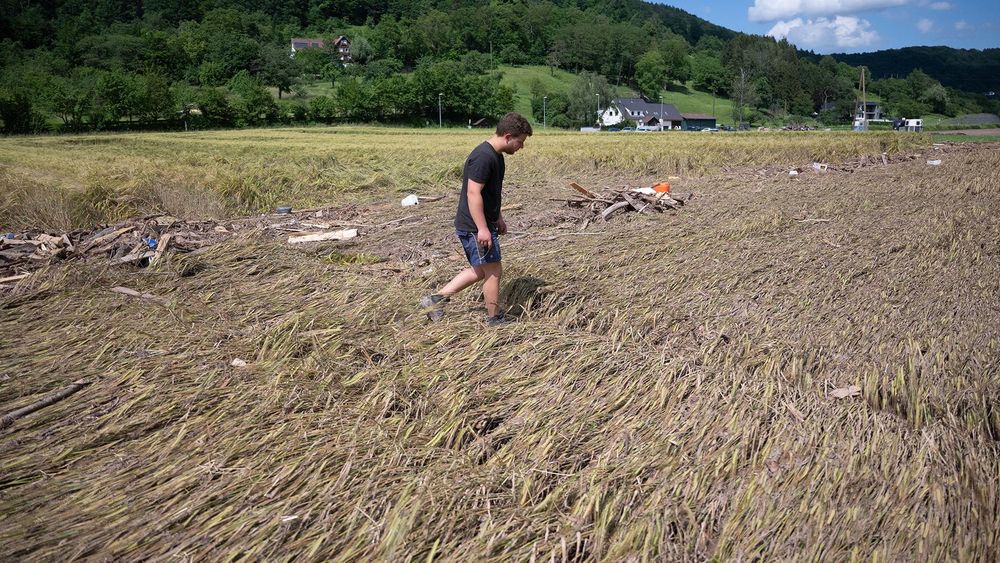 Bauern kämpfen weiter mit Wetterextremen