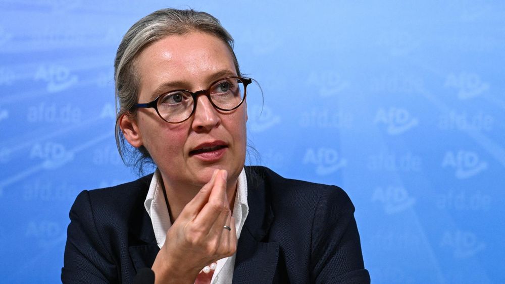 Weidel soll Kanzlerkandidatin der AfD sein