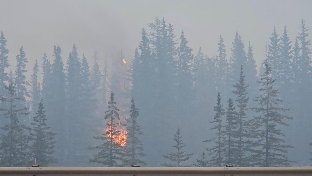 Waldbrand zerstört zahlreiche Gebäude in Kleinstadt