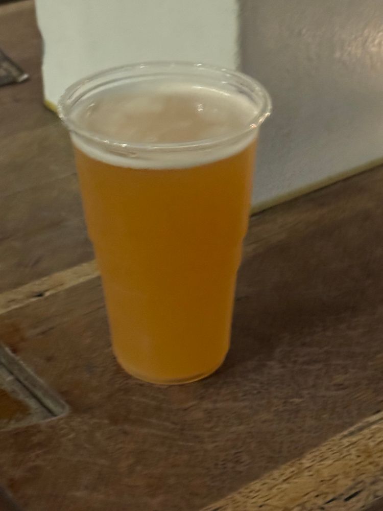 A pint of House party IPA by LERVIG