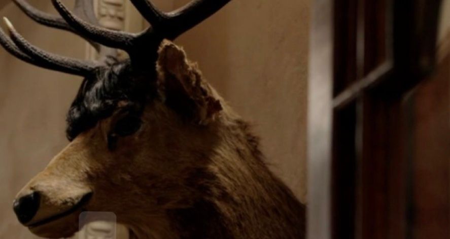 Photo of Deer head on a wall with the iconic Claudia Winkleman fringe. Photo taken inside the castle that The Traitors is filmed at.