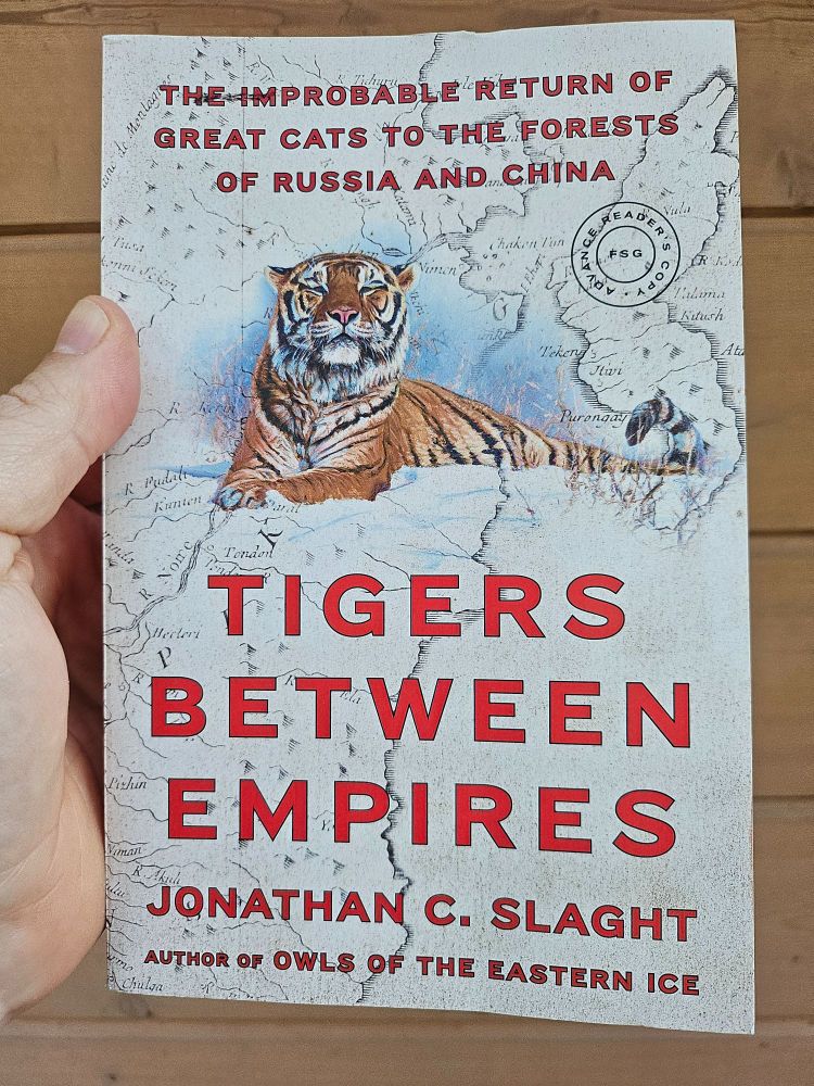 a book with a chill tiger on the cover